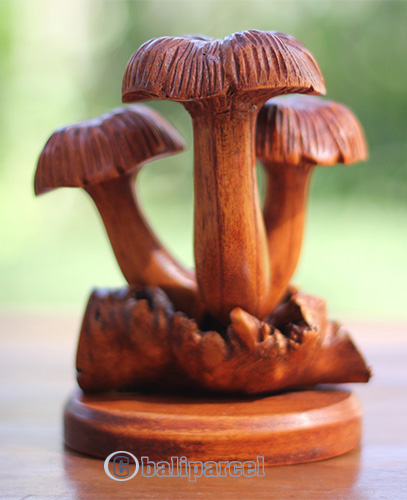 Wooden Mushrooms With Parasite Wood