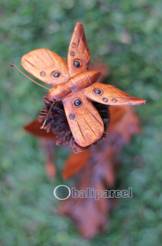 Wooden Butterfly With Parasite Wood