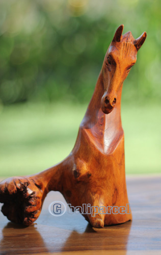 Wooden Horse With Parasite Wood