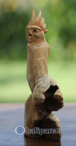 Wooden Bird With Parasite Wood