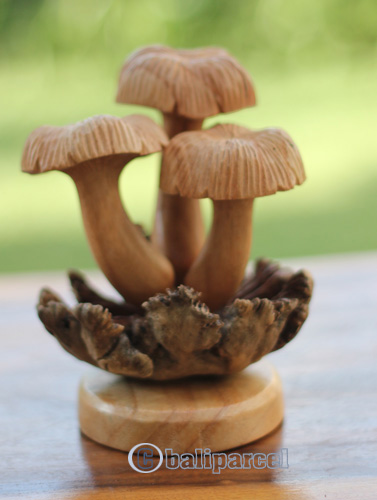 Wooden Mushrooms With Parasite Wood