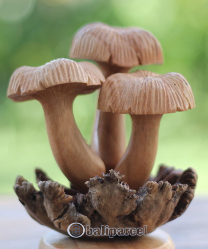 Wooden Mushrooms With Parasite Wood