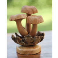 Wooden Mushrooms With Parasite Wood