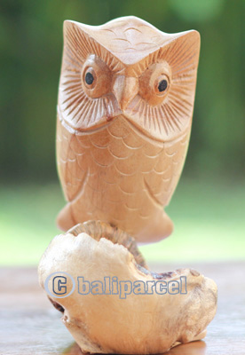 Wooden Owl With Parasite, Handmade From Hibiscus Wood