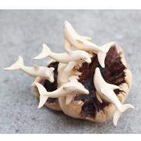 Wooden 5 Dolphins With Parasite Wood