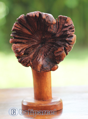 Wooden Mask Parasite Wood
