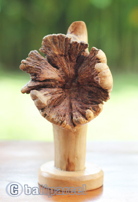 Wooden Mask Parasite Wood