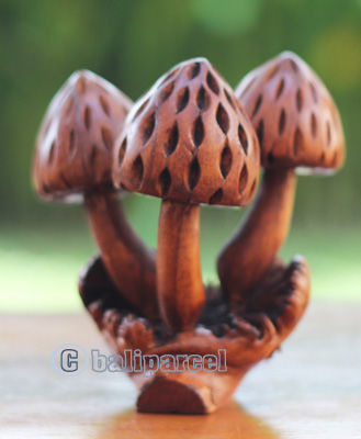 Wooden Mushrooms With Parasite Wood
