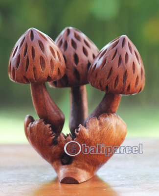 Wooden Mushrooms With Parasite Wood