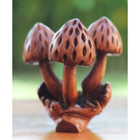 Wooden Mushrooms With Parasite Wood