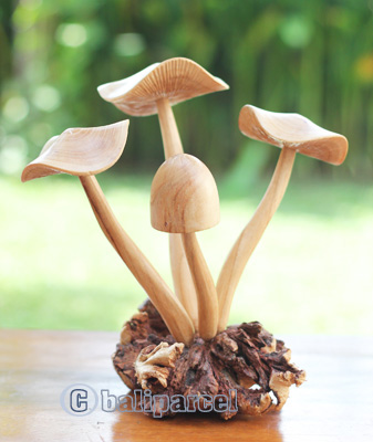 Wooden Mushrooms With Parasite Wood
