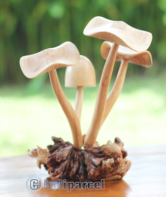 Wooden Mushrooms With Parasite Wood