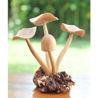 Wooden Mushrooms With Parasite Wood
