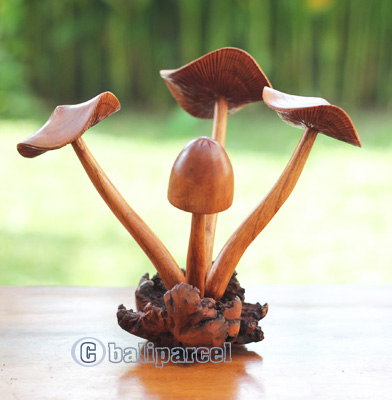 Wooden Mushrooms With Parasite Wood