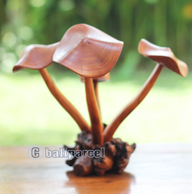 Wooden Mushrooms With Parasite Wood