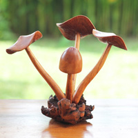 Wooden Mushrooms With Parasite Wood