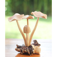Wooden Mushrooms With Parasite Wood