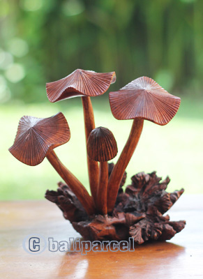Wooden Mushrooms With Parasite Wood