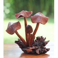 Wooden Mushrooms With Parasite Wood