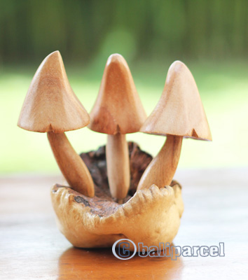 Wooden Mushrooms With Parasite Wood