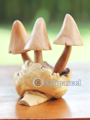 Wooden Mushrooms With Parasite Wood