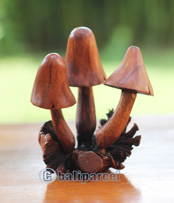 Wooden Mushrooms With Parasite Wood