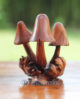 Wooden Mushrooms With Parasite Wood