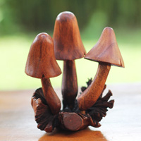 Wooden Mushrooms With Parasite Wood