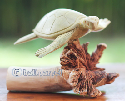 Wooden Turtle With Parasite Wood