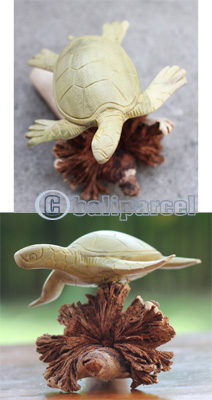 Wooden Turtle With Parasite Wood