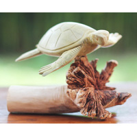 Wooden Turtle With Parasite Wood