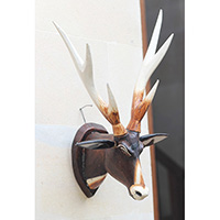 Wooden Wallhanging Deer Head, Handmade From Albesia Wood