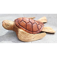 Wooden Turtle Carving, Hand Carved From Suar Wood