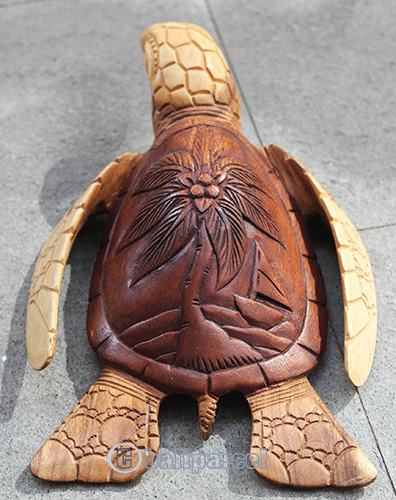 Wooden Turtle Carving, Hand Carved From Suar Wood