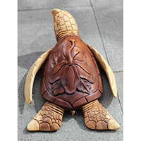 Wooden Turtle Carving, Hand Carved From Suar Wood