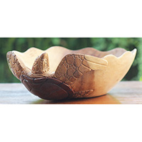 Wooden Bowl Turtle Carving, Hand Carved From Suar Wood