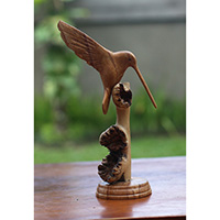 Wooden Hummingbird With Parasite Wood
