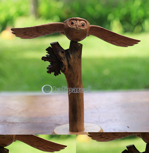Wooden Owl With Parasite Wood