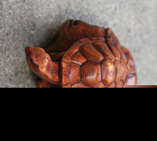 Wooden Turtle With Parasite Wood