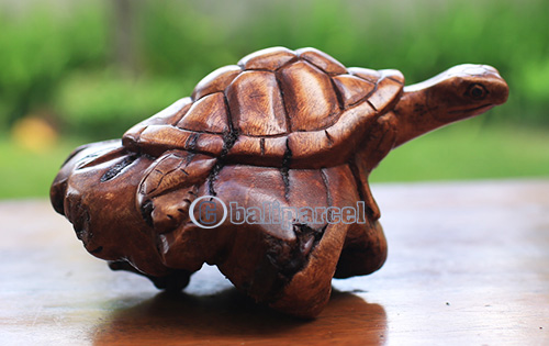 Wooden Turtle With Parasite Wood