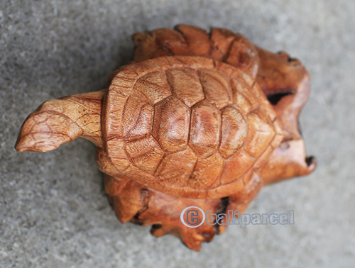Wooden Turtle With Parasite Wood