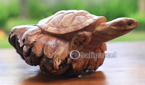 Wooden Turtle With Parasite Wood