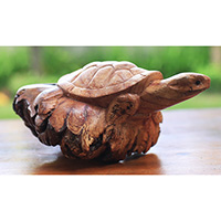 Wooden Turtle With Parasite Wood