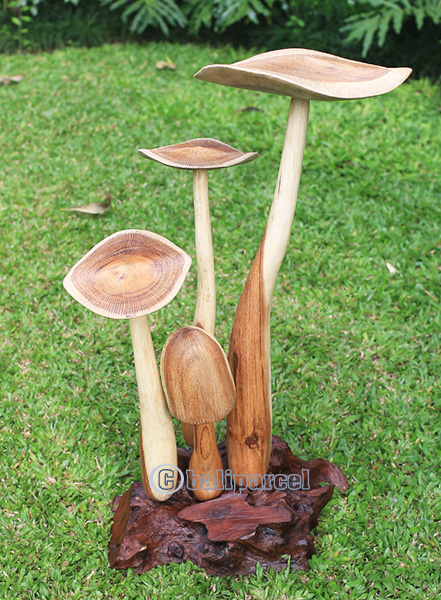 Wooden Mushrooms With Parasite Wood