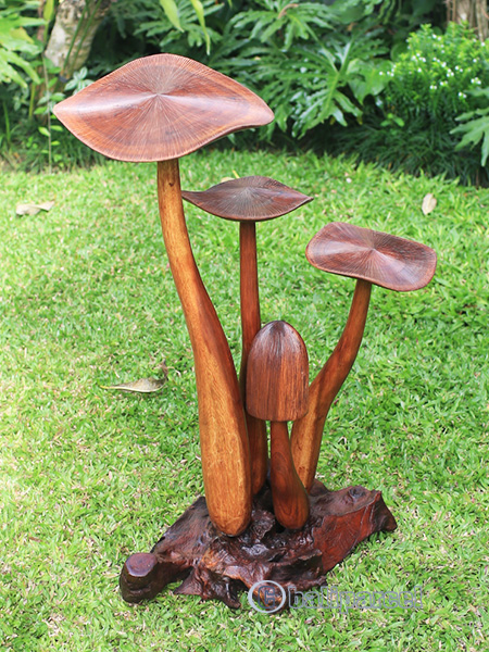 Wooden Mushrooms With Parasite Wood