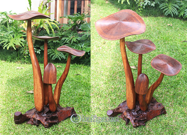 Wooden Mushrooms With Parasite Wood