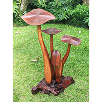 Wooden Mushrooms With Parasite Wood