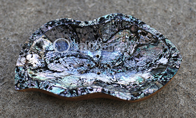 Wooden Soap Dish With Shell, Hand Carved From Teak Wood