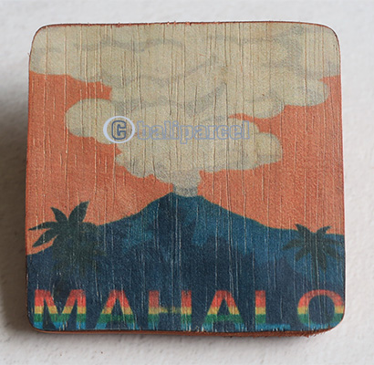 Wooden Art Print Coaster, The Original Photo Can Be Printed To The Wood, If Any Custom Photos We Can Print It, Is Made From Albesia Wood