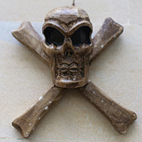 Pirate Skull, Handmade From Albesia Wood